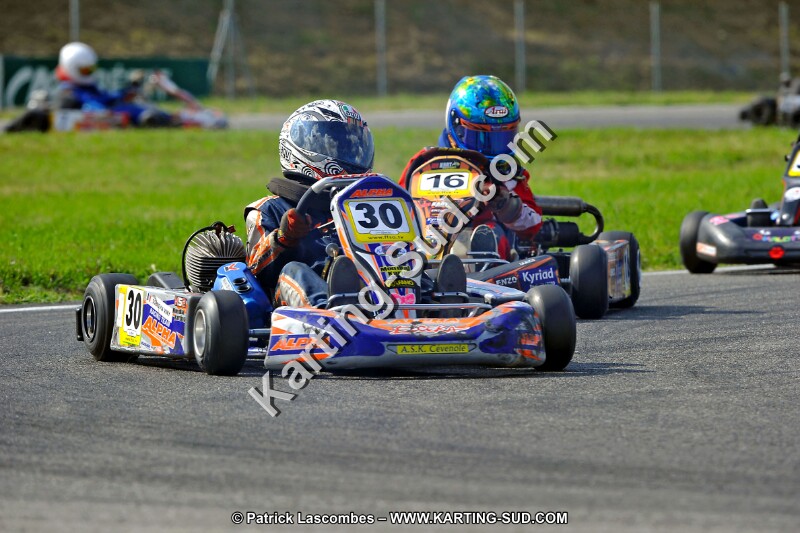 DSC_ (775).jpg